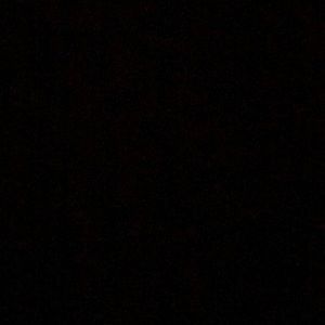 Meet your Posher, Tamia